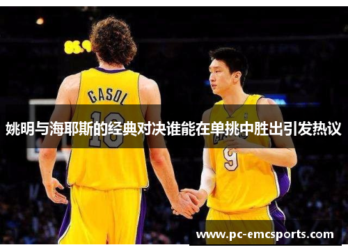 姚明与海耶斯的经典对决谁能在单挑中胜出引发热议