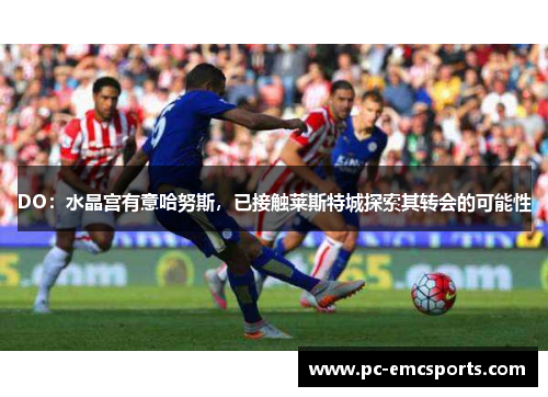 DO：水晶宫有意哈努斯，已接触莱斯特城探索其转会的可能性